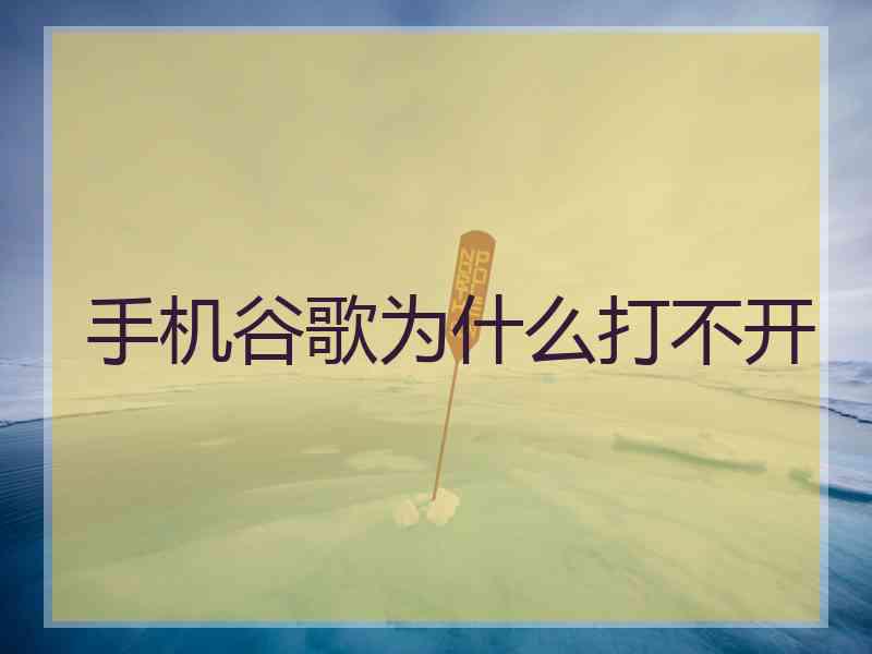手机谷歌为什么打不开